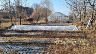 김지철님의 기타작물 · 영농일지 작성글 사진