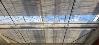 이정현님의 기타작물 · 영농일지 작성글 사진