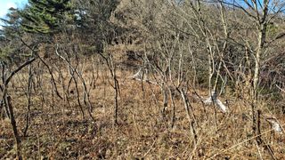 수기님의 작성글 사진