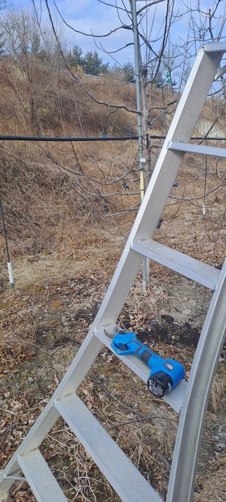 능금아저씨님의 기타작물 · 영농일지 작성글 사진