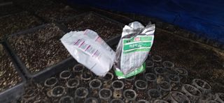 두릅나무15847님의 기타작물 · 영농일지 작성글 사진