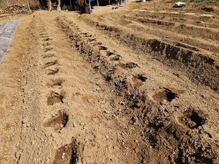 연모 자연의행복님의 기타작물 · 영농일지 작성글 사진