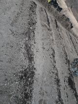 팜모닝 기타작물·영농일지 게시글 이미지