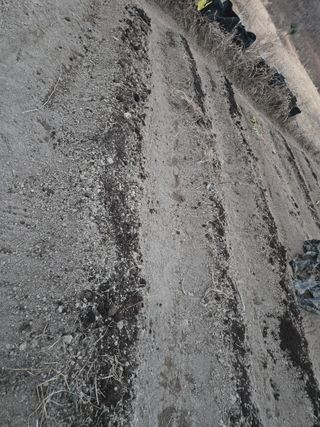 박현미님의 기타작물 · 영농일지 작성글 사진