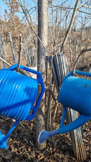 김지철님의 기타작물 · 영농일지 작성글 사진