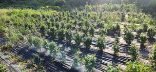 이정현님의 작성글 사진