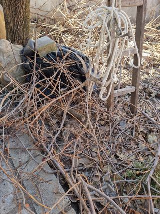 논산푸른팜님의 복숭아 · 영농일지 작성글 사진