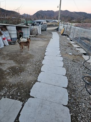 류대균님의 기타작물 · 영농일지 작성글 사진