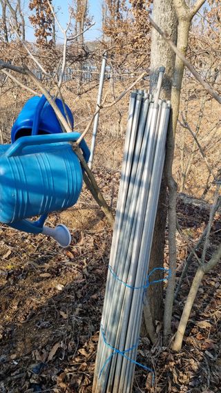 김지철님의 기타작물 · 영농일지 작성글 사진