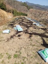 팜모닝 감자·영농일지 게시글 이미지