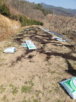 단풍농장님의 감자 · 영농일지 작성글 사진