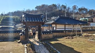 수기님의 두릅 · 영농일지 작성글 사진