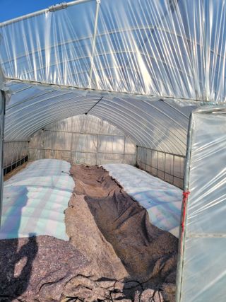 정지덕님의 고구마 · 영농일지 작성글 사진