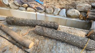 김준한님의 기타작물 · 영농일지 작성글 사진