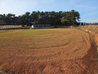 강화 산.해.감국님의 기타작물 · 영농일지 작성글 사진