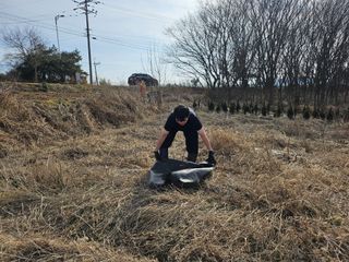 강화 산.해.감국님의 기타작물 · 영농일지 작성글 사진