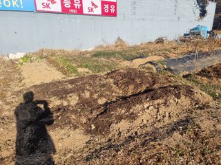 양길호님의 기타작물 · 영농일지 작성글 사진