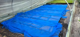 두릅나무15847님의 기타작물 · 영농일지 작성글 사진