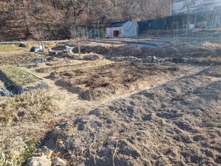 양길호님의 기타작물 · 영농일지 작성글 사진