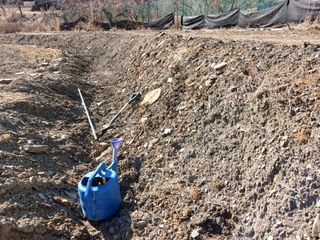 김홍중님의 두릅 · 영농일지 작성글 사진