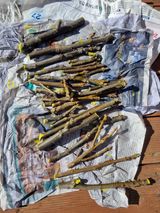 팜모닝 기타작물·영농일지 게시글 이미지