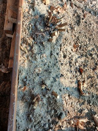 김홍중님의 두릅 · 영농일지 작성글 사진