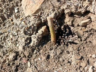 김홍중님의 두릅 · 영농일지 작성글 사진