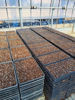 팜모닝회원 김순달 님의 기타작물 · 영농일지 작성글 사진