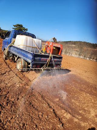 김저팔계님의 기타작물 · 영농일지 작성글 사진