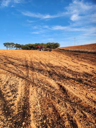 김저팔계님의 기타작물 · 영농일지 작성글 사진