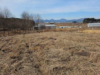 강화 산.해.감국님의 기타작물 · 영농일지 작성글 사진