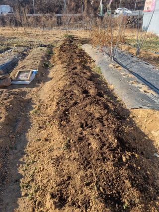 양길호님의 기타작물 · 영농일지 작성글 사진