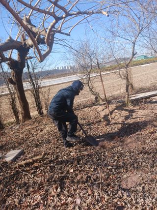 최연태님의 기타작물 · 영농일지 작성글 사진