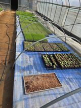 팜모닝 호박·영농일지 게시글 이미지