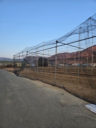 홍1237님의 기타작물 · 영농일지 작성글 사진