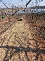 허용구님의 작성글 사진