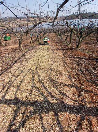 허용구님의 배 · 영농일지 작성글 사진