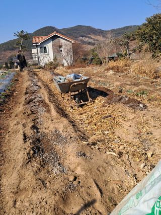 신 난다님의 감 · 영농일지 작성글 사진