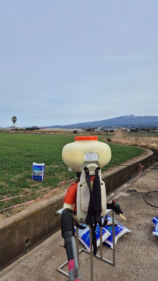 제주토박이님의 기타작물 · 영농일지 작성글 사진