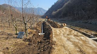 김병수님의 사과 · 영농일지 작성글 사진