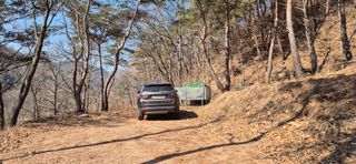 정진필님의 두릅 · 영농일지 작성글 사진