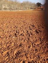 팜모닝 기타작물·영농일지 게시글 이미지