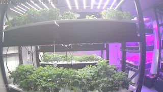 정종배님의 기타작물 · 영농일지 작성글 사진