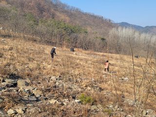 서성환님의 기타작물 · 영농일지 작성글 사진