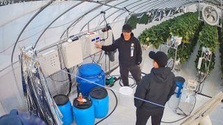 정종배님의 기타작물 · 영농일지 작성글 사진