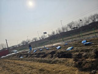 비타민님의 기타작물 · 영농일지 작성글 사진