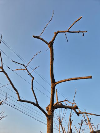 장재갑님의 기타작물 · 영농일지 작성글 사진