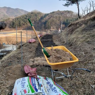 가로수님의 기타작물 · 영농일지 작성글 사진