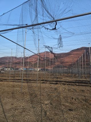 홍1237님의 기타작물 · 영농일지 작성글 사진