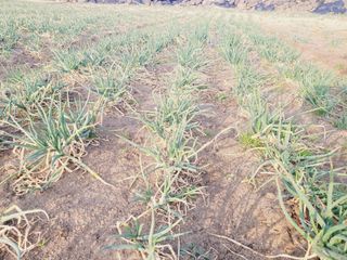 한경훈님의 작성글 사진